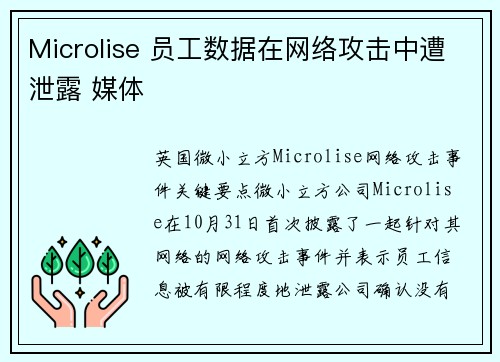 Microlise 员工数据在网络攻击中遭泄露 媒体
